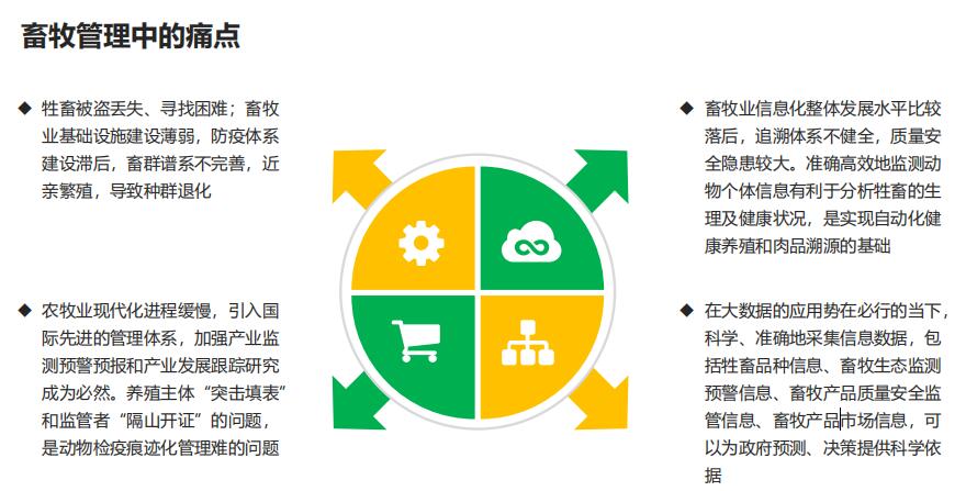 解决方案 品牌管理的系统化框架与执行路径